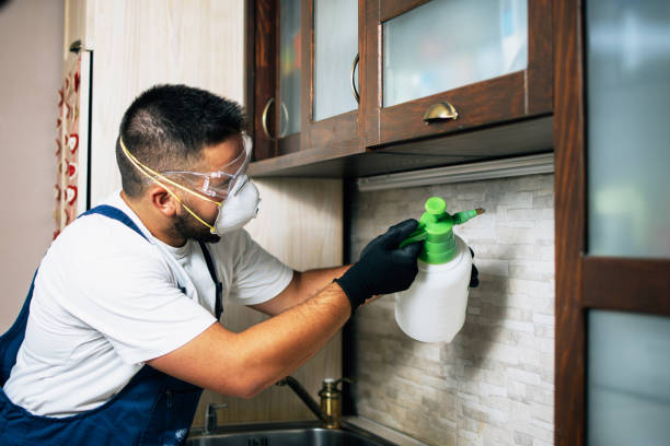  Osawatomie, KS Pest Control Pros