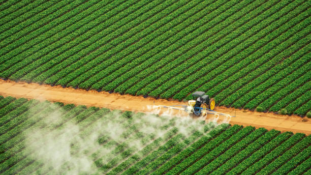 Best Best Pest Control Companies  in Osawatomie, KS