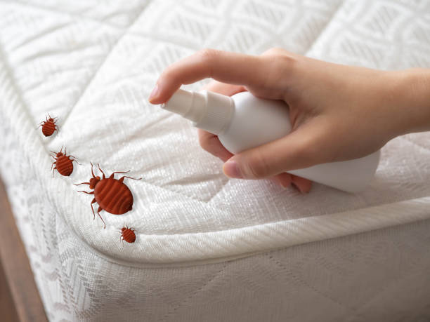 Best Exterminator Services  in Osawatomie, KS